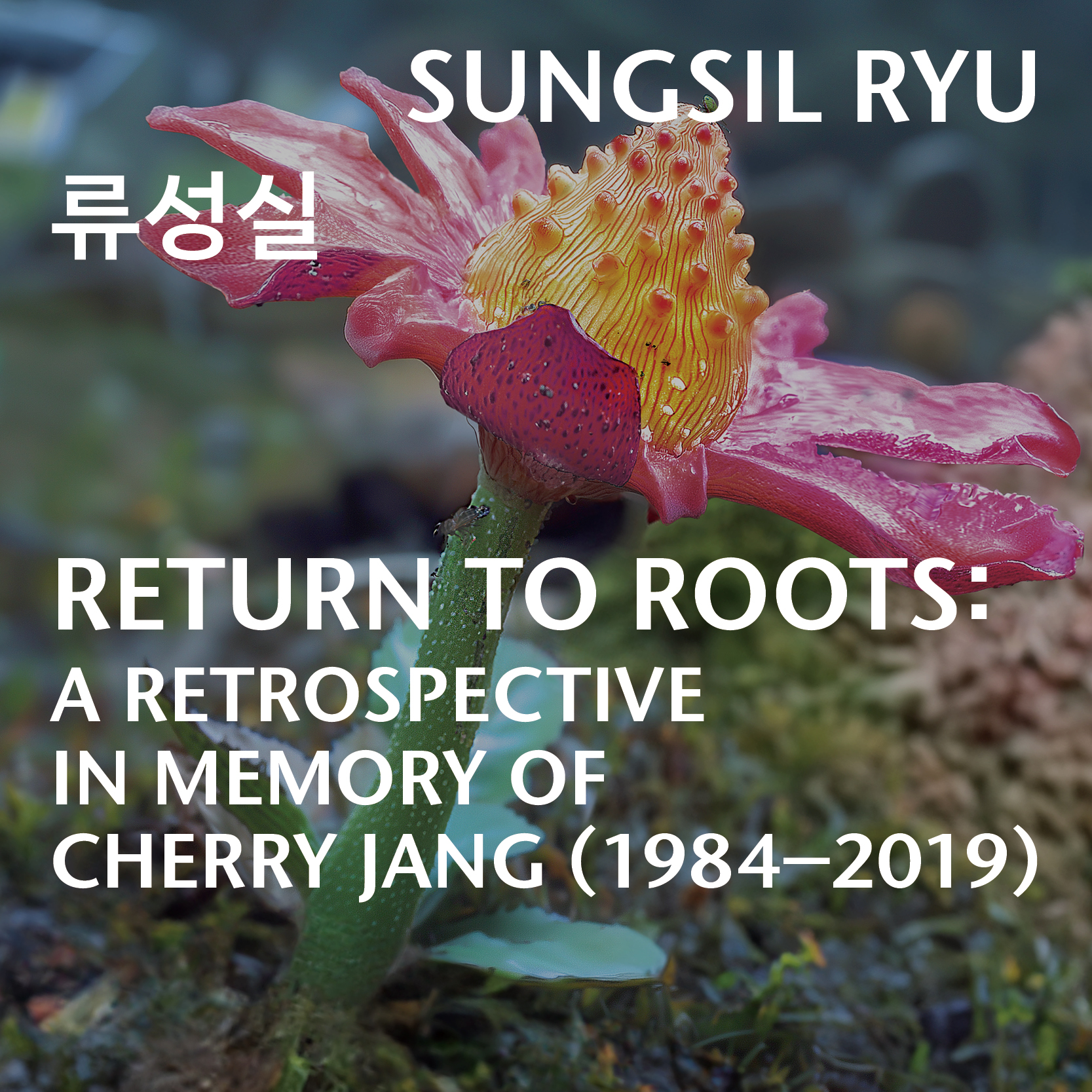 Return to Roots: A Retrospective in Memory of Cherry Jang (1984-2019)