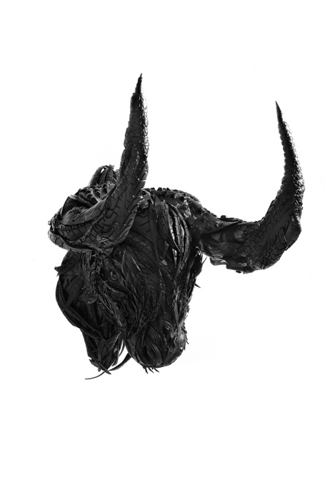 Bull Head3