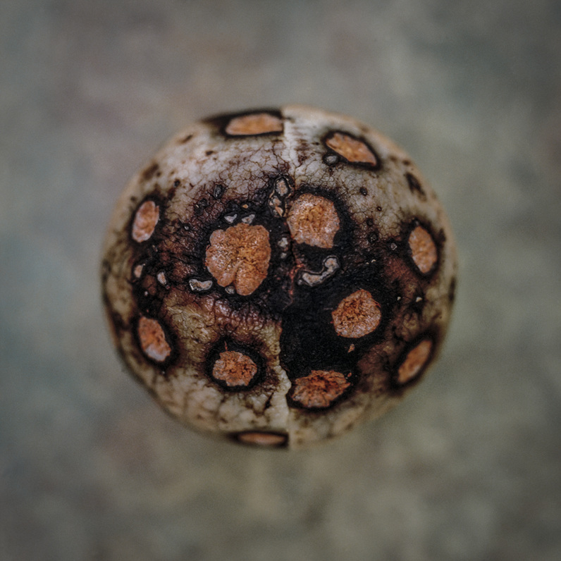 Untitled_05