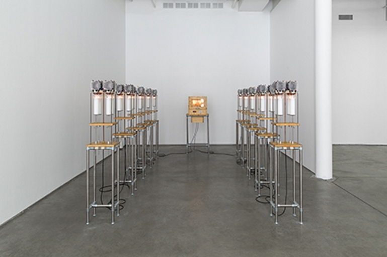 Untitled: Egg Incubator and Candle