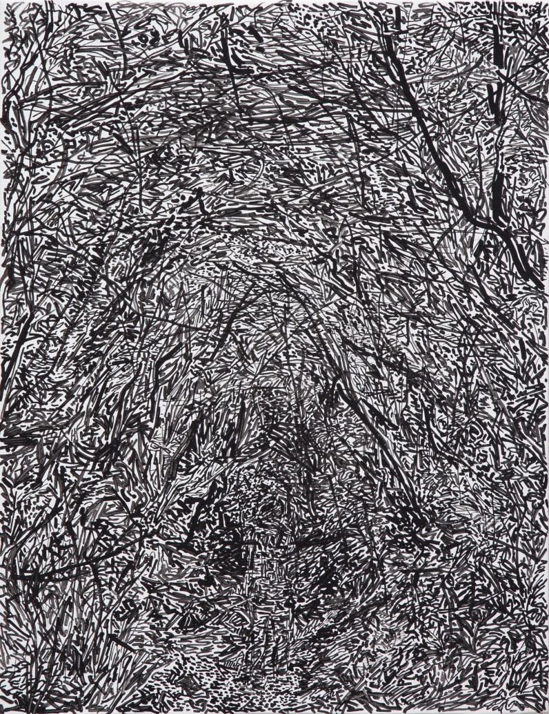 검은 숲 속