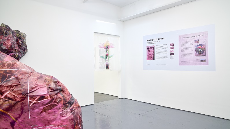 Installation view