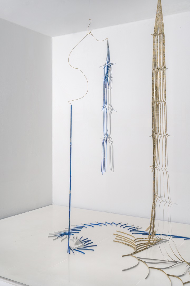 Trajectory of the Pattern—Ore, Wildflower, Fading Stem, Stem of Yesterday