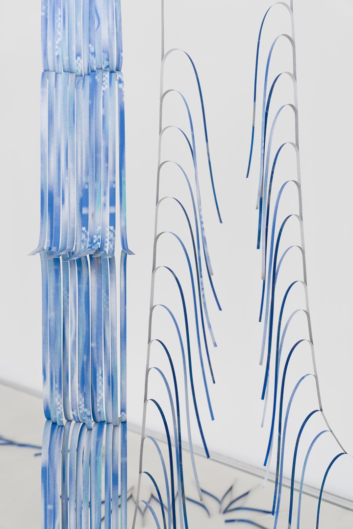 Trajectory of the Pattern—Ore, Wildflower, Fading Stem, Stem of Yesterday