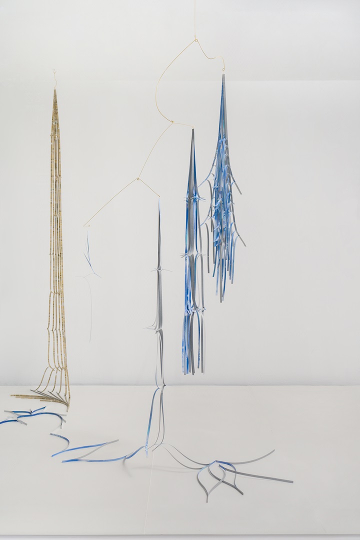 Trajectory of the Pattern—Ore, Wildflower, Fading Stem, Stem of Yesterday