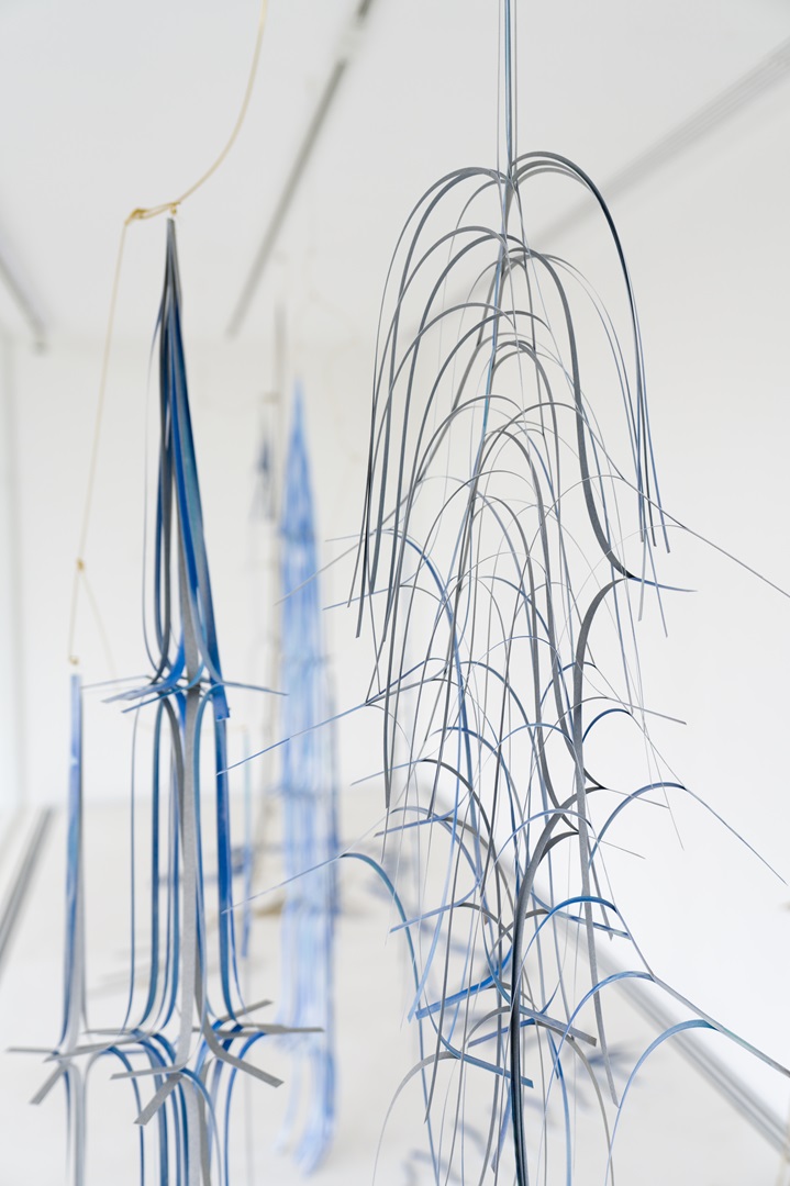 Trajectory of the Pattern—Ore, Wildflower, Fading Stem, Stem of Yesterday
