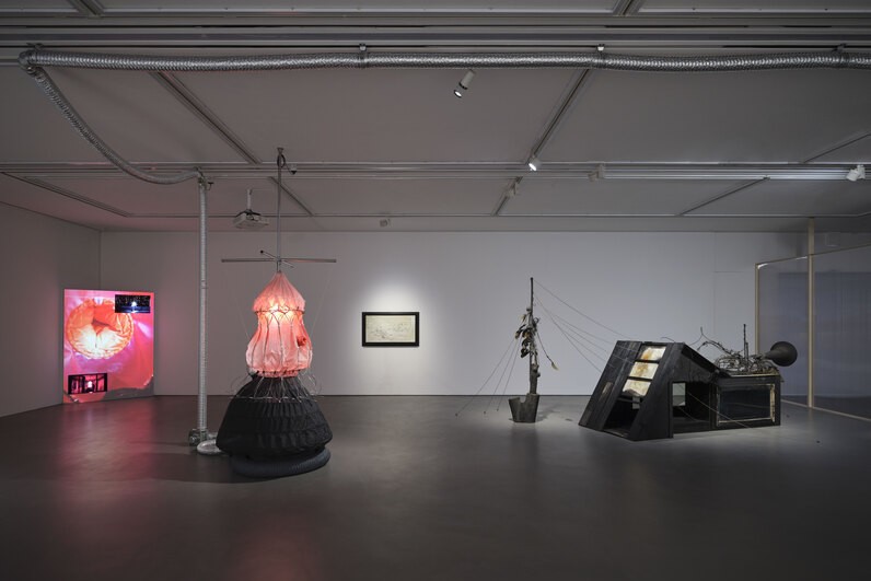Installation view