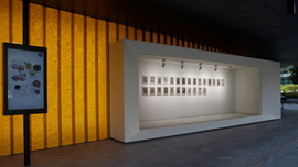 Drawings 1998-2012 썸네일