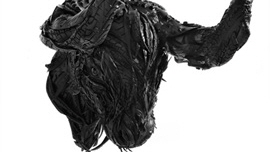 Bull Head3 썸네일