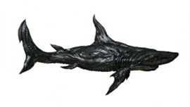  Shark 6 썸네일