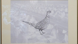 Pheasant II 썸네일
