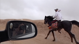 Stain-2: Hard and Soft 썸네일