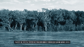 Dust, Wind &  Fire 썸네일