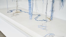 Trajectory of the Pattern—Ore, Wildflower, Fading Stem, Stem of Yesterday 썸네일