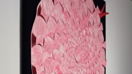 Festival series 썸네일