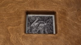 moving insula 썸네일